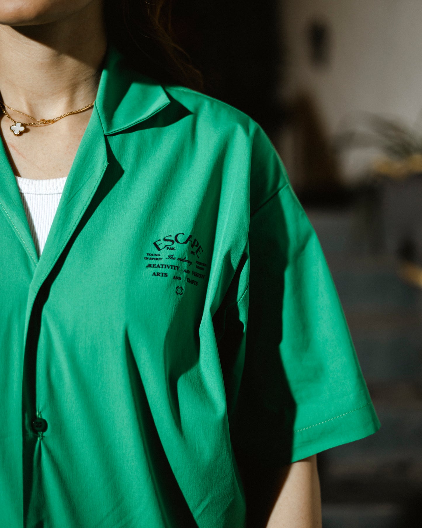 The Ordinary Shirt